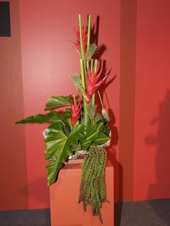 Flower arrangement by Tracey Burhoe
