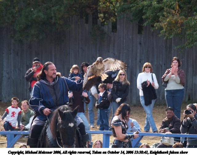 Knighthawk falcon show