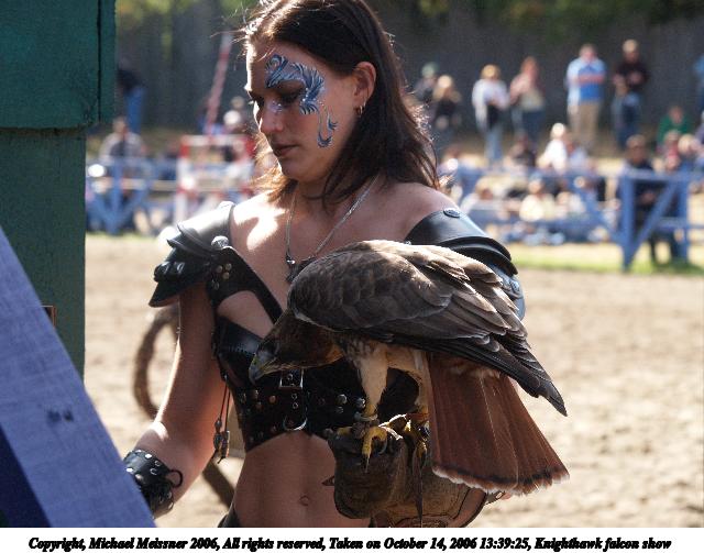 Knighthawk falcon show #6