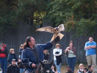Knighthawk falcon show #3