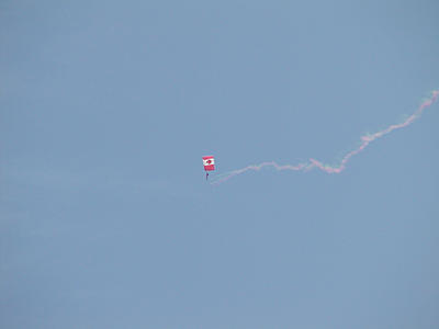 Skydiver with smoke #3