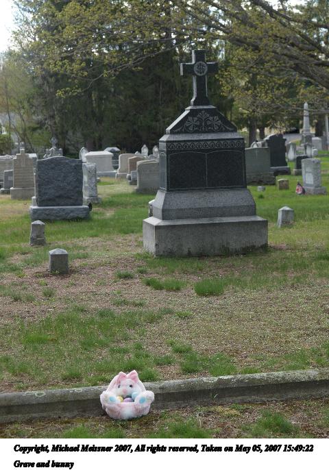 Grave and bunny