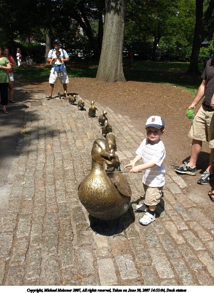 Duck statues #5