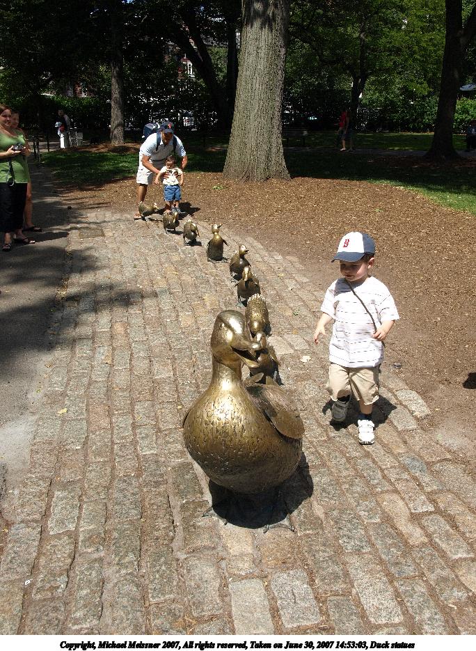 Duck statues