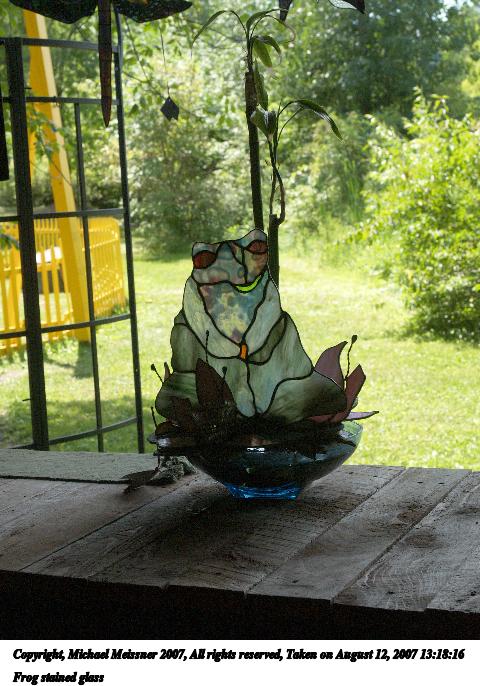Frog stained glass