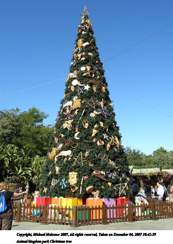 Animal kingdom park Christmas tree