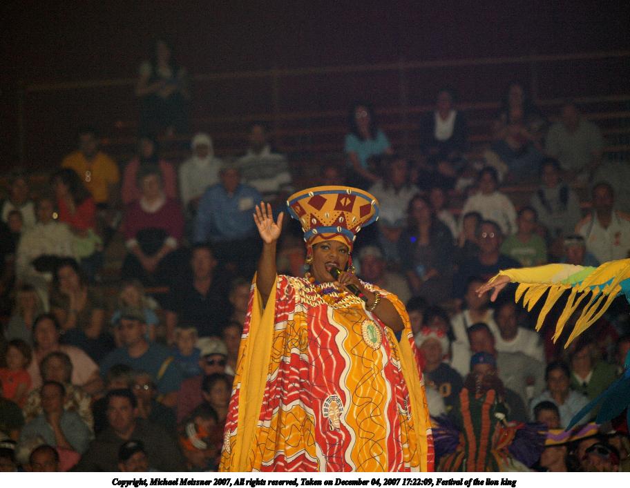 Festival of the lion king #9