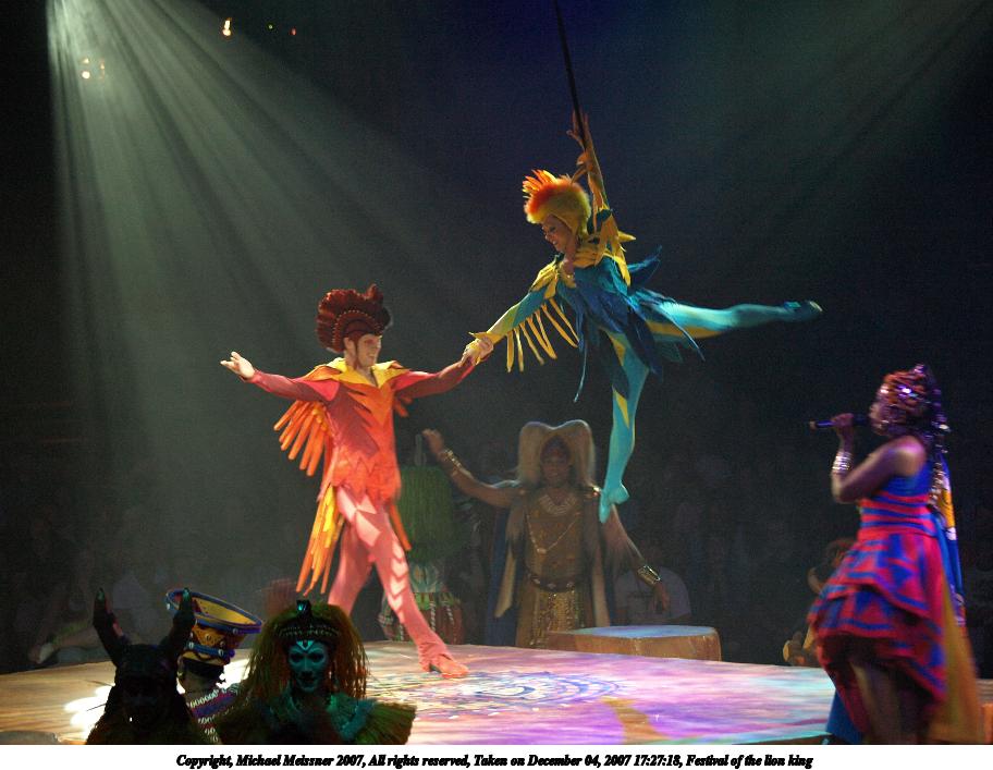 Festival of the lion king #19
