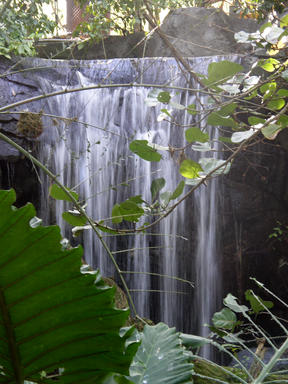 Waterfall in the Pangani forest