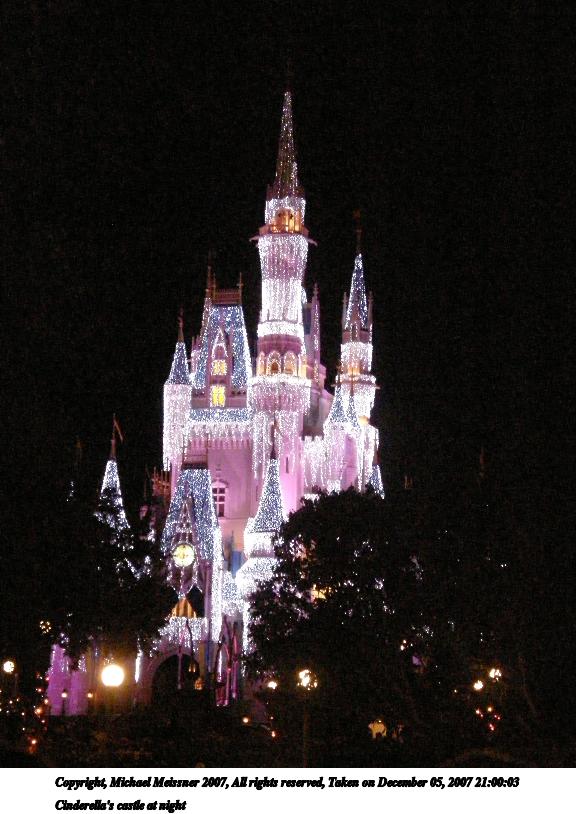 Cinderella's castle at night #6