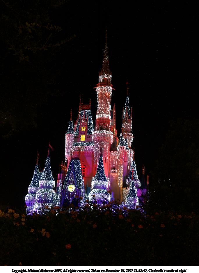 Cinderella's castle at night #10