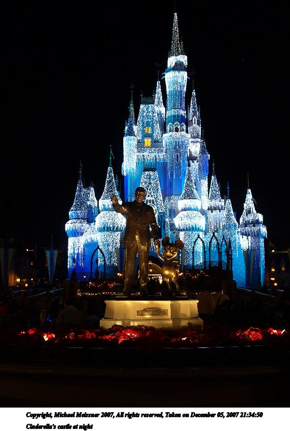 Cinderella's castle at night #13