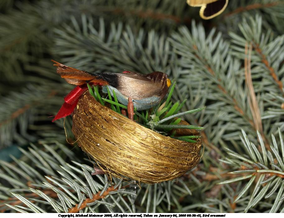 Bird ornament #2