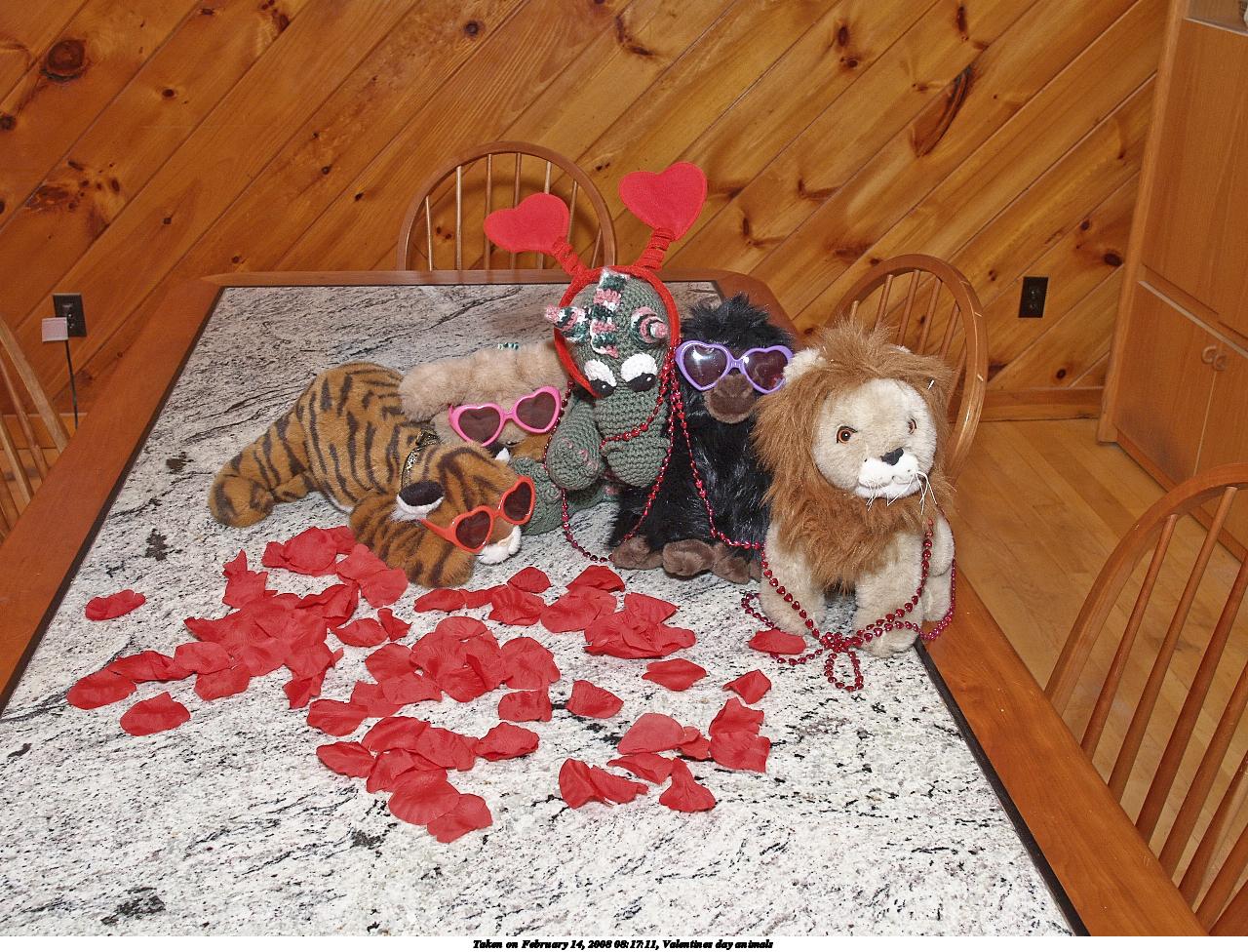 Valentines day animals