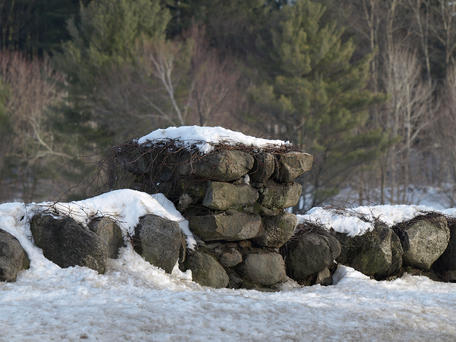 Stone wall in winter #3
