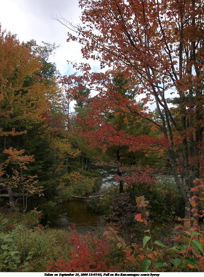 Fall on the Kancamagus scenic byway #7