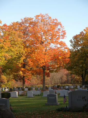 Andover cemetary in fall #3