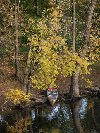 Concord river in fall #2
