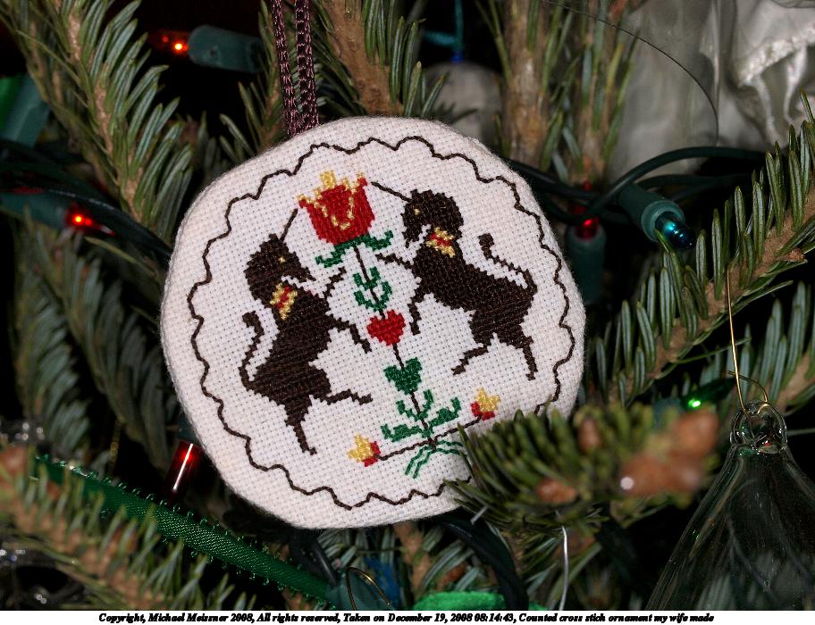 Counted cross stich ornament my wife made