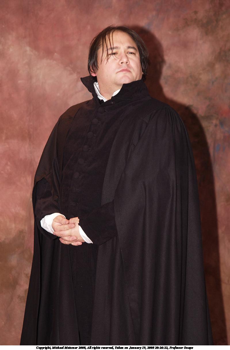 Professor Snape #2