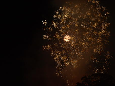 Fireworks #35