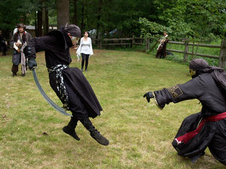Sword fighting #8