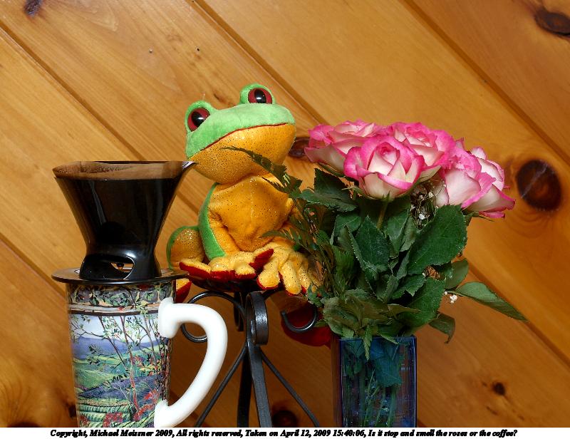 Is it stop and smell the roses or the coffee?