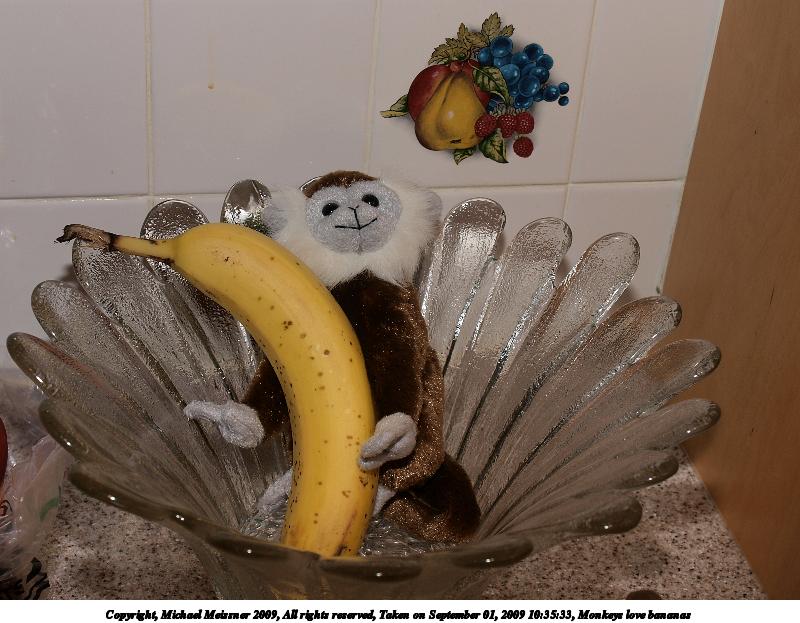 Monkeys love bananas