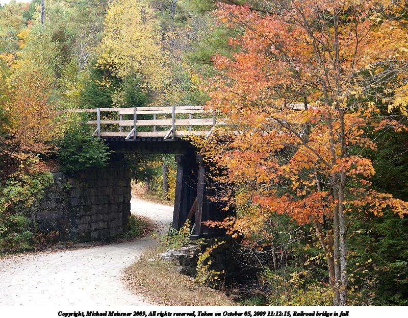 Railroad bridge in fall