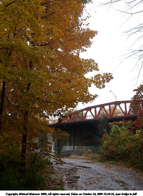 Ayer bridge in fall