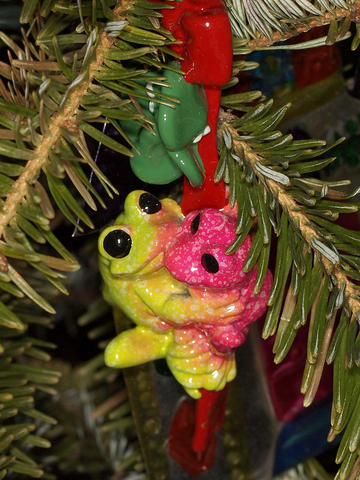 Frog ornament