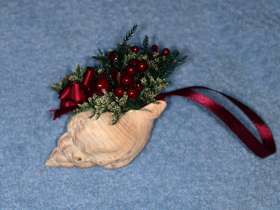 Shell ornament #2