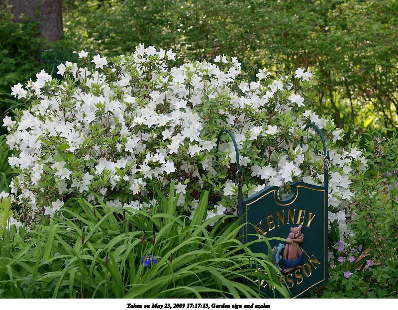 Garden sign and azalea