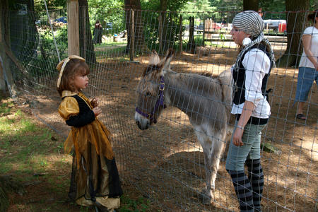 Donkey meet and greet #2