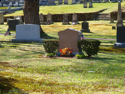 Flowers and graves #3