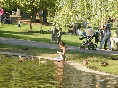 Enjoying the ducks #2