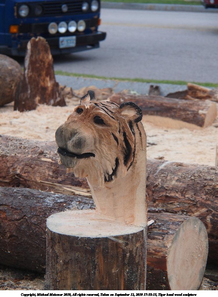 Tiger head wood sculpture