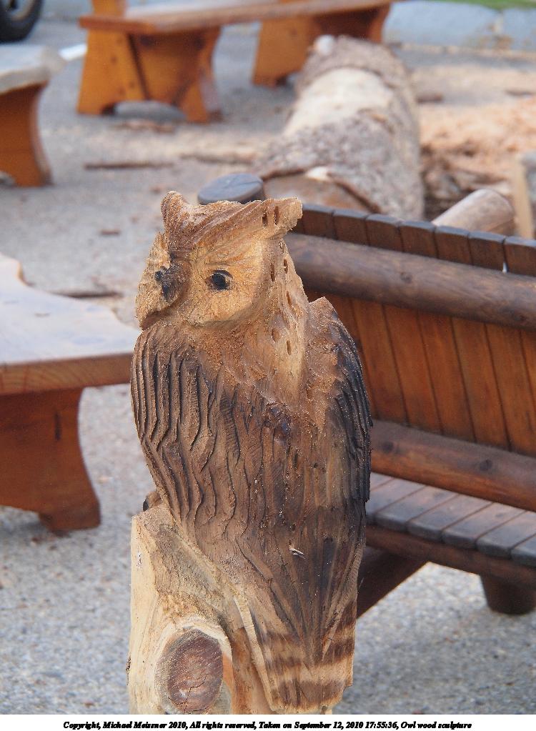 Owl wood sculpture
