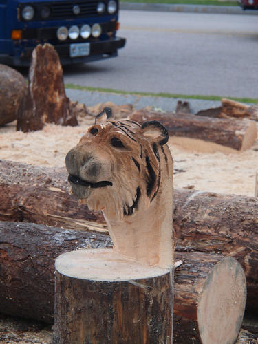 Tiger head wood sculpture