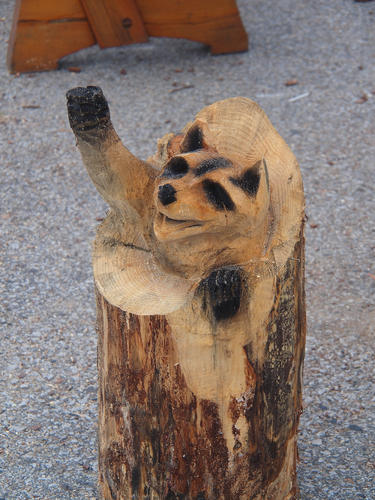 Racoon head wood sculpture