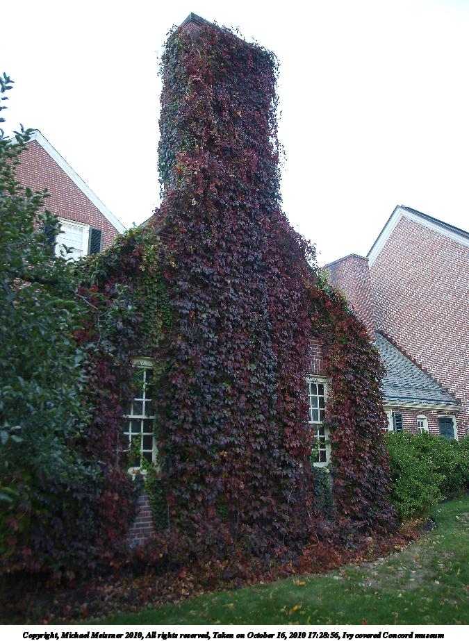 Ivy covered Concord museum #2