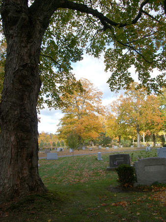 Andover cemetary in fall #9