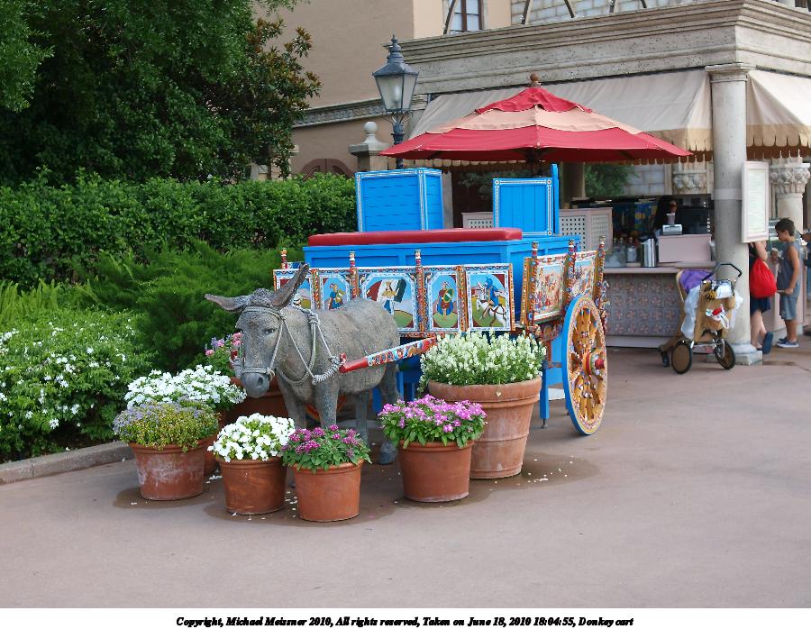 Donkey cart