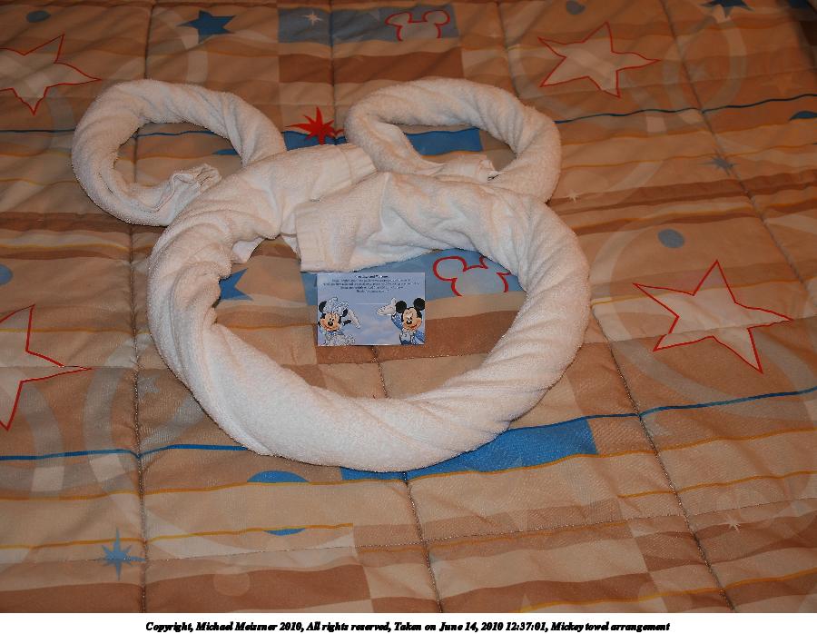 Mickey towel arrangement