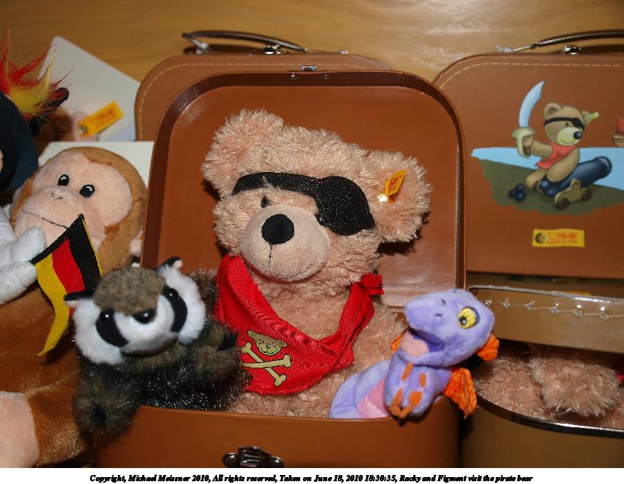 Racky and Figment visit the pirate bear