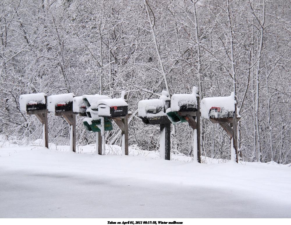 Winter mailboxes
