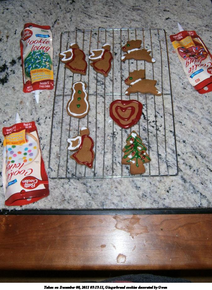 Gingerbread cookies decorated by Gwen