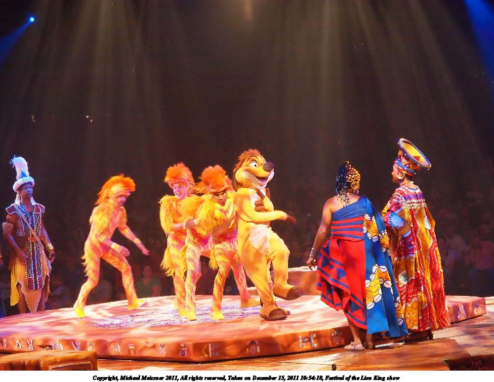 Festival of the Lion King show #6
