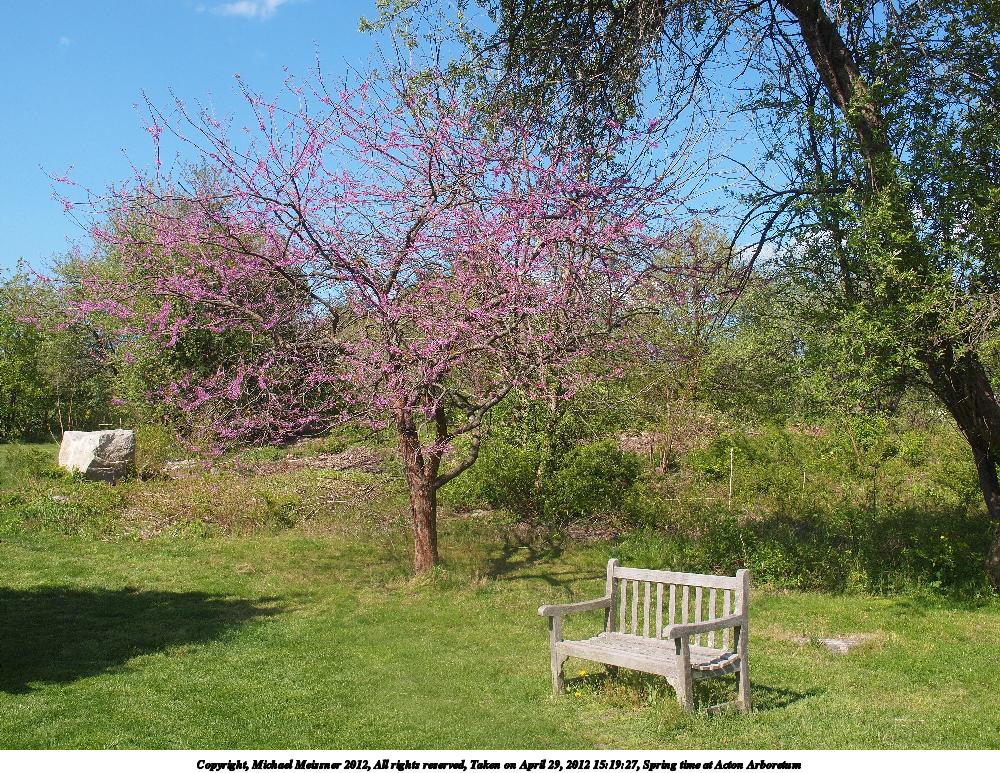 Spring time at Acton Arboretum