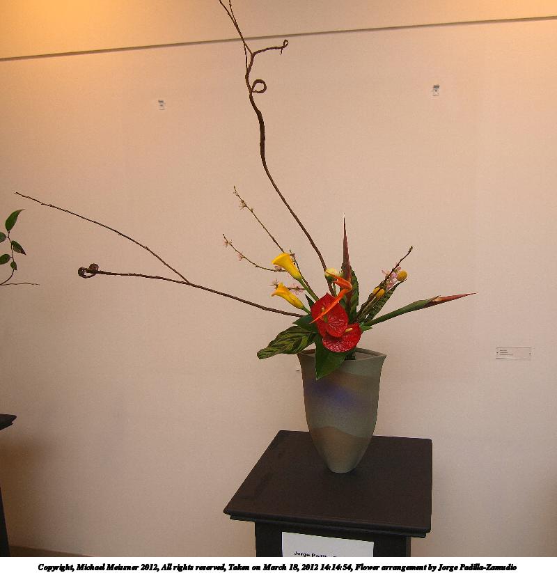 Flower arrangement by Jorge Padilla-Zamudio